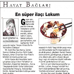 06.12.2002-Radikal
