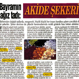 13.11.2004-Gözcü